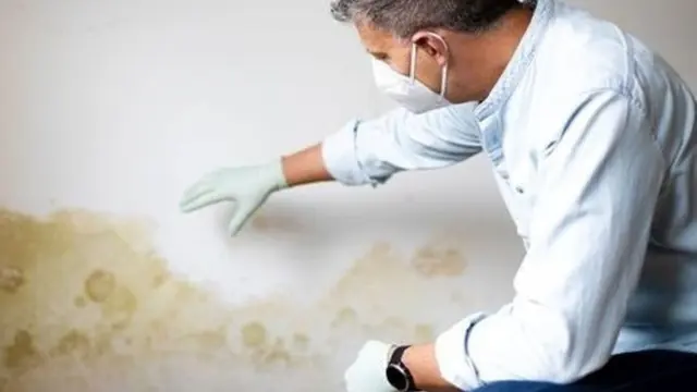 Man in a mask and gloves touching a yellow and brown water-stained wall