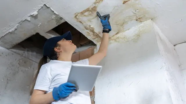 Inspector wearing gloves holds a tablet while examining a stained, damaged ceiling